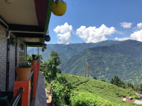 Surya Homestay - Rural Tea Garden Homestay